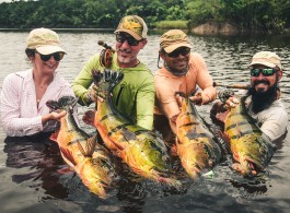 An Amazonian Journey: The Rio Marié and Kendjam Combo